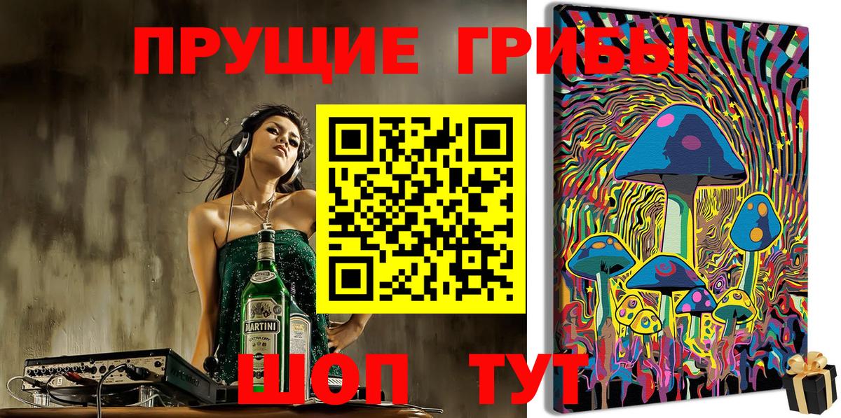 Псилоцибиновые грибы мицелий  Псилоцибиновые грибы Psilocybe  Ишим  Вход с VPN 